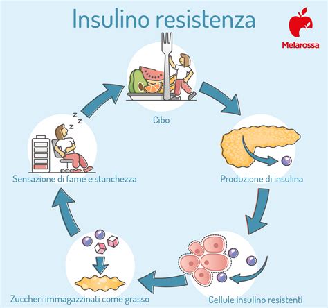 Segni e sintomi di insulino-resistenza